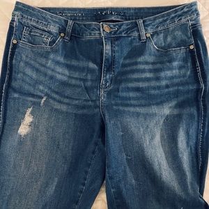 Lane Bryant Plus Woman’s Skinny Denim Jean